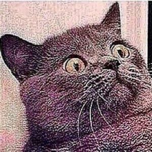 Meet your Posher, Andre